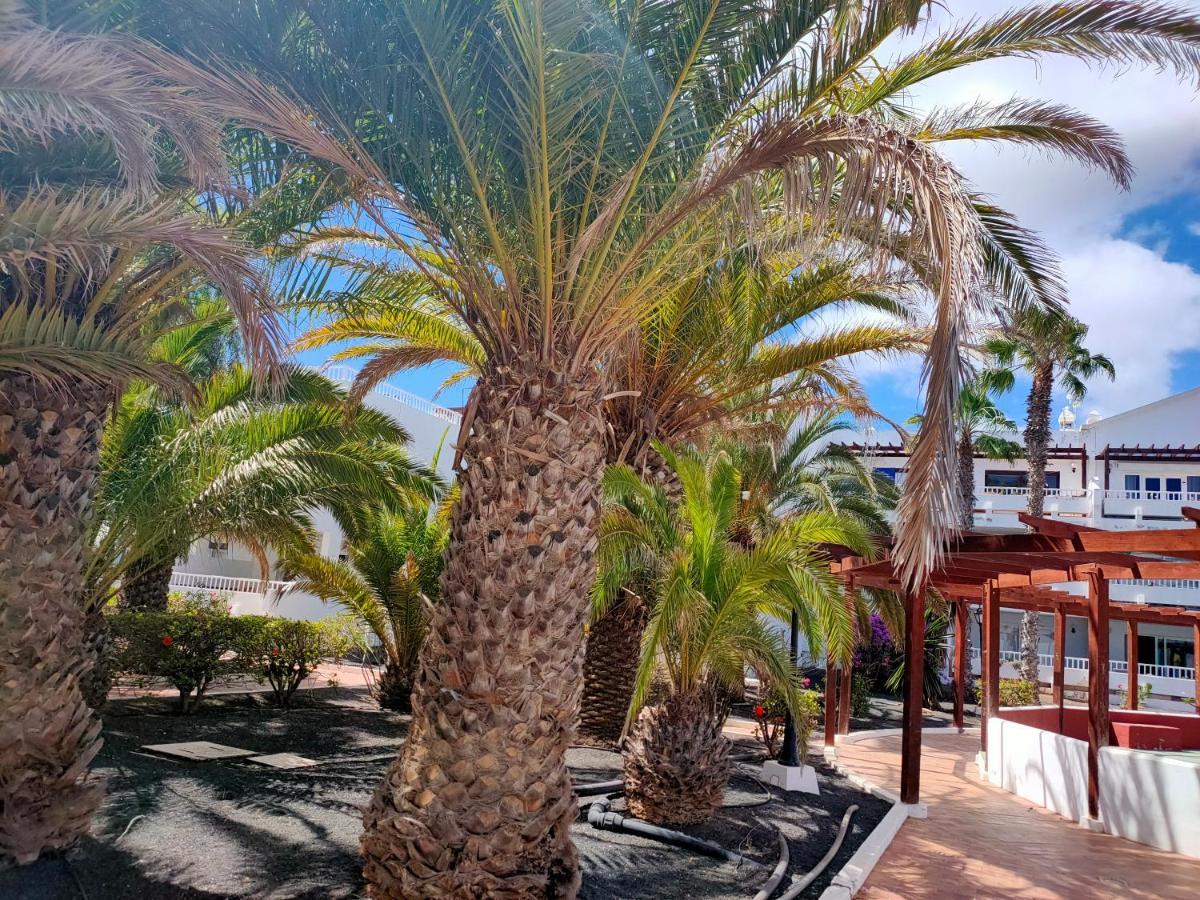 Flor De Cactus Apartment Costa Teguise Exterior foto