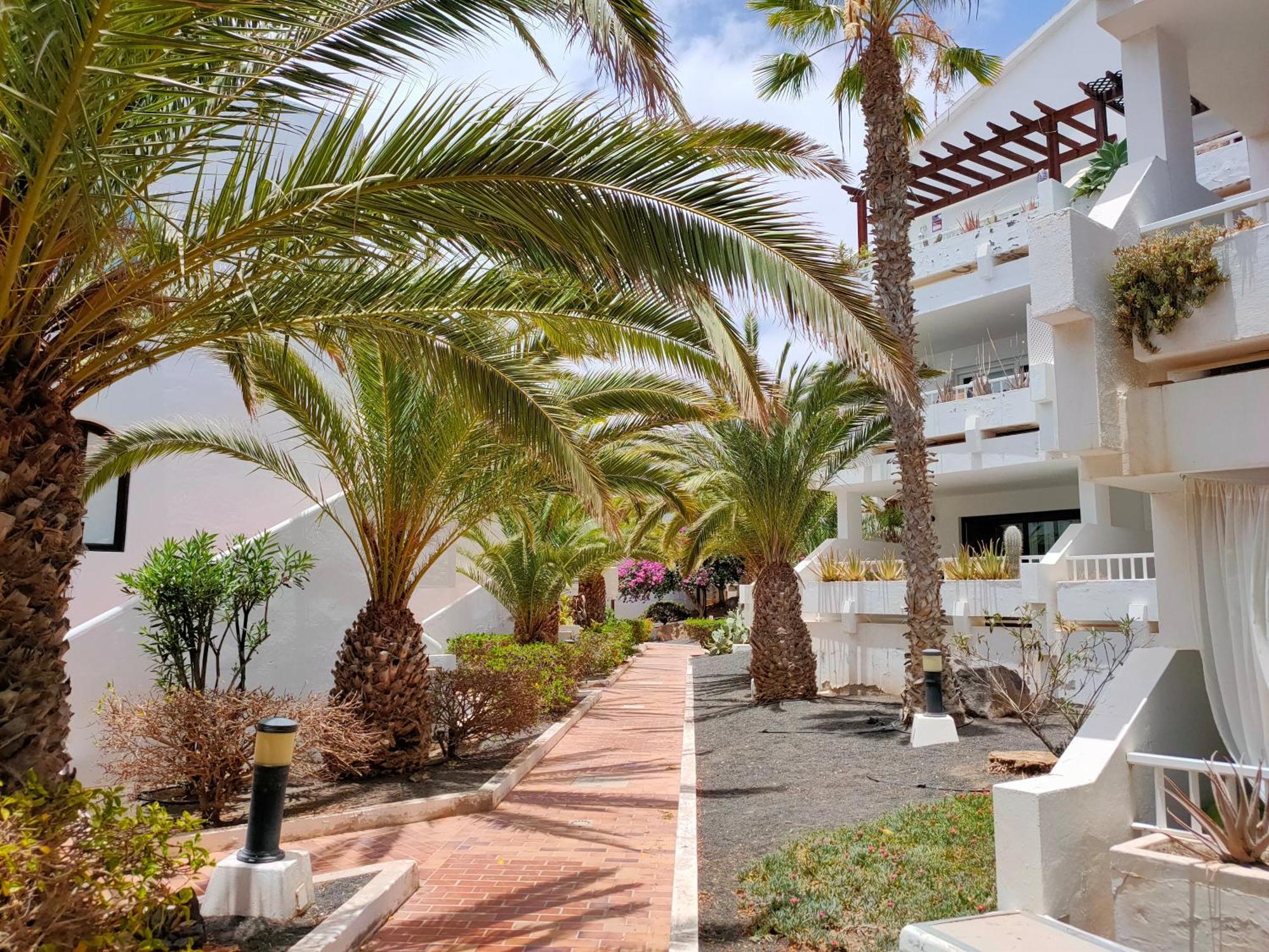 Flor De Cactus Apartment Costa Teguise Cameră foto
